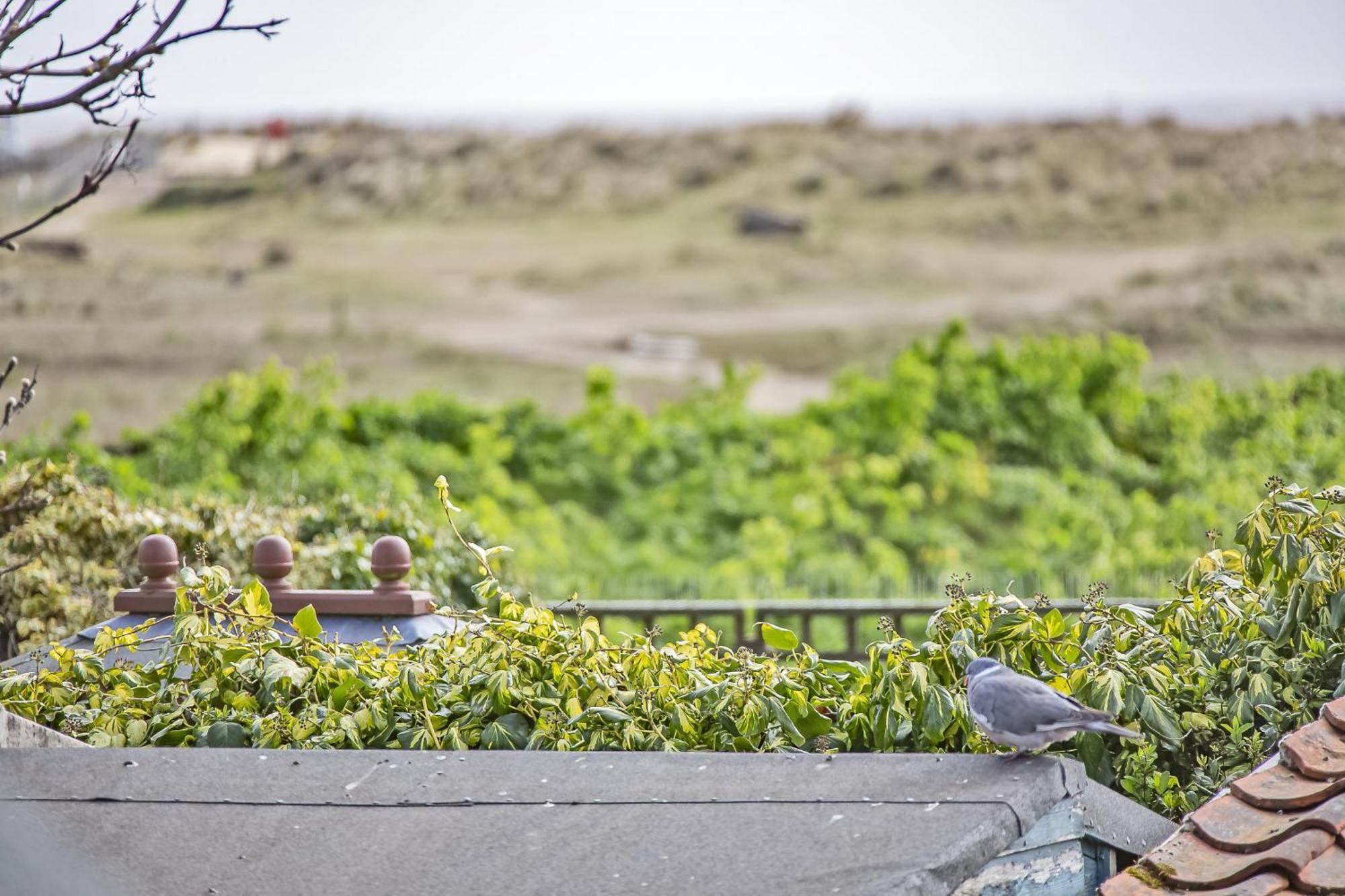 Old Post Office Cottage Walberswick Exterior foto